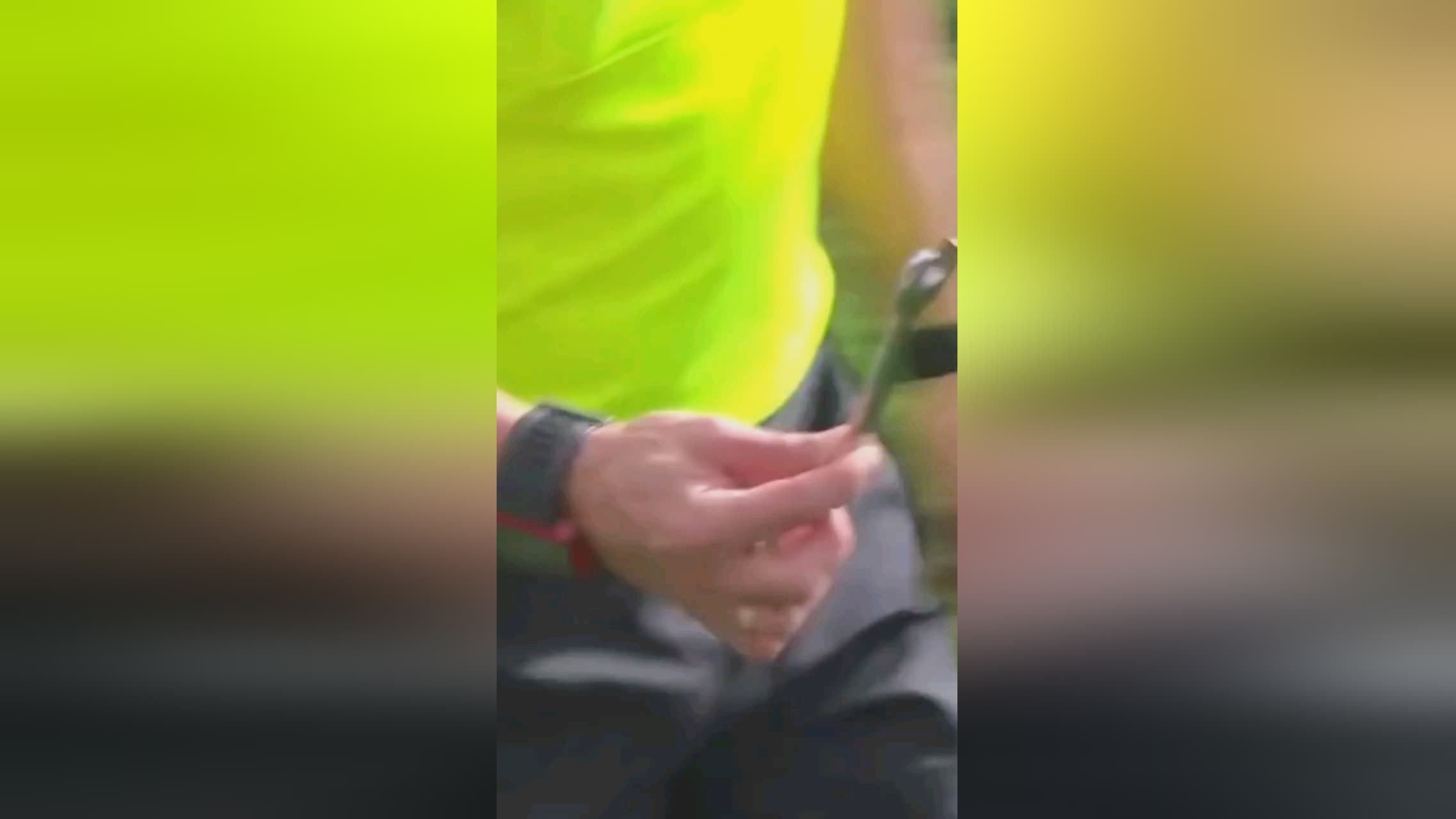 出的