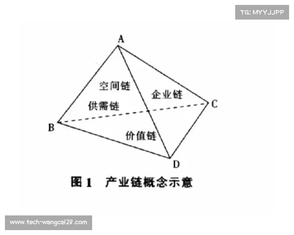 德甲媒体版权价值提升影响力分析与未来发展趋势探讨