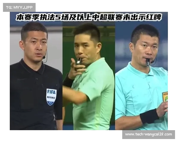 德甲裁判标准解析：严格执法与公平竞争的平衡之道